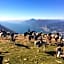 Hotel Monte Baldo