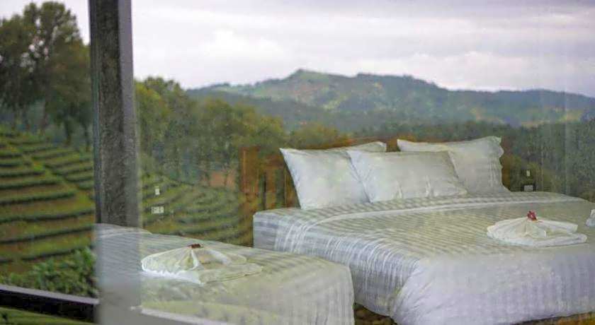 101 Tea Green View