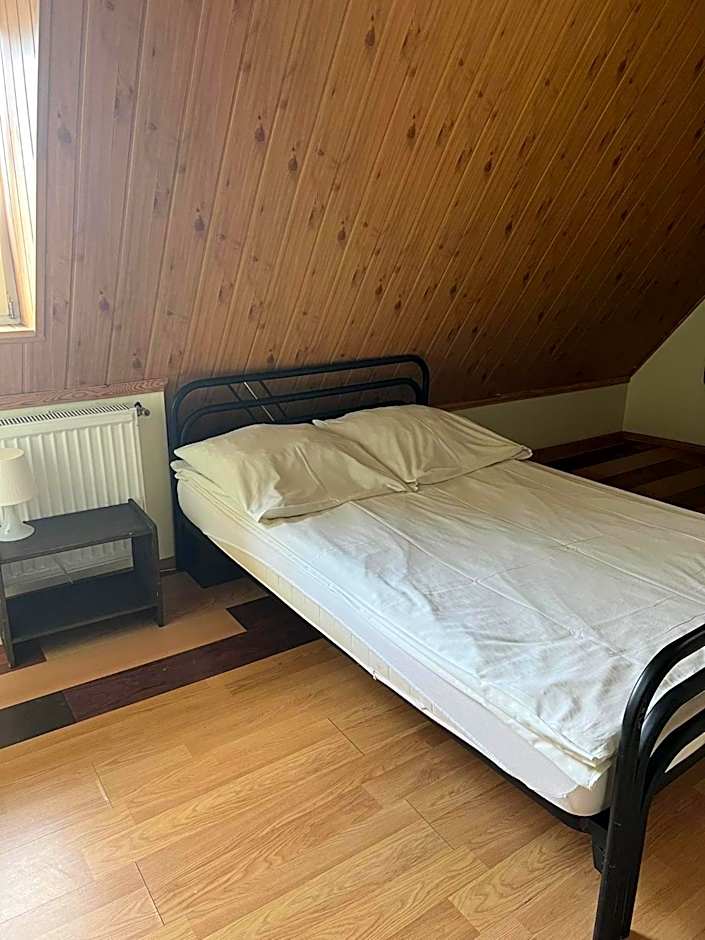 Hostel BAZA 15