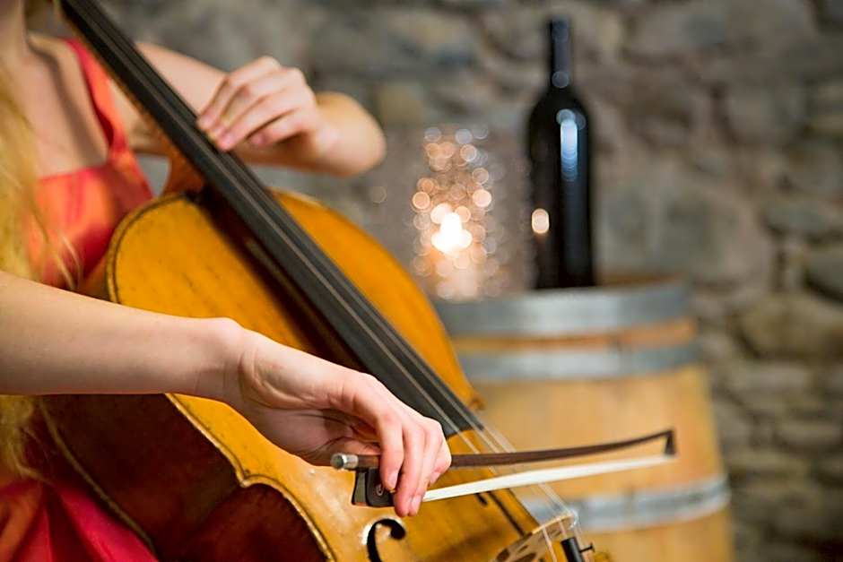 Boutique & Business Hotel La Tureta