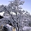 Landhotel Alte Post