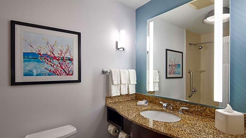Hilton Garden Inn Merrillville