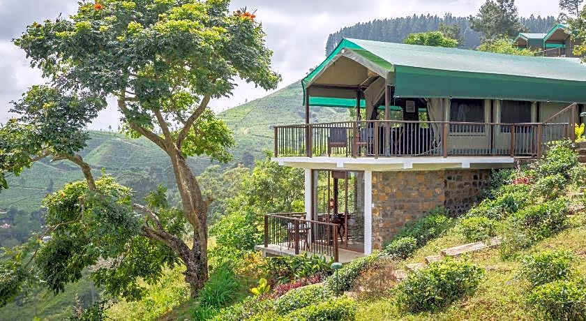 Madulkelle Tea and Eco Lodge