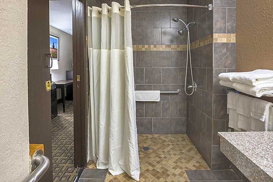 AmericInn by Wyndham Holland MI