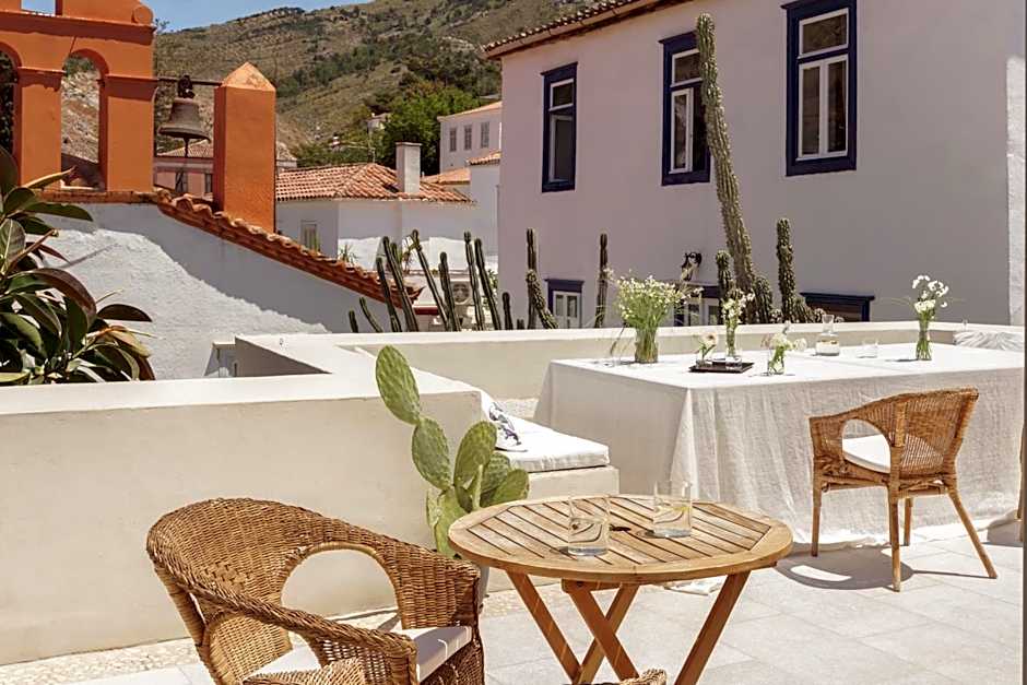 Cactus Hydra - Art Apartments