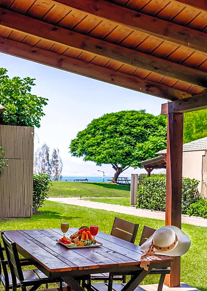 Daria- Authentic Israeli Experience