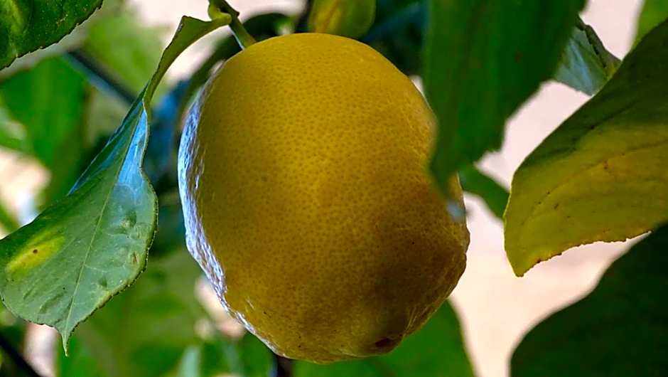 Résidence Saint Michel