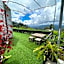 Phu Fahsai Homestay