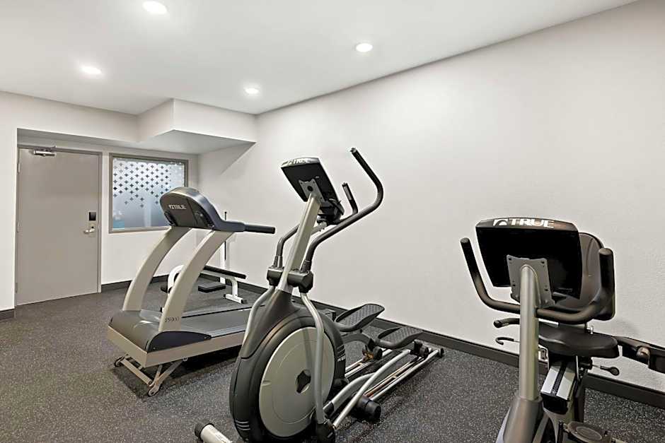 Spark by Hilton Williams