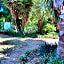 New Beginnings B&B