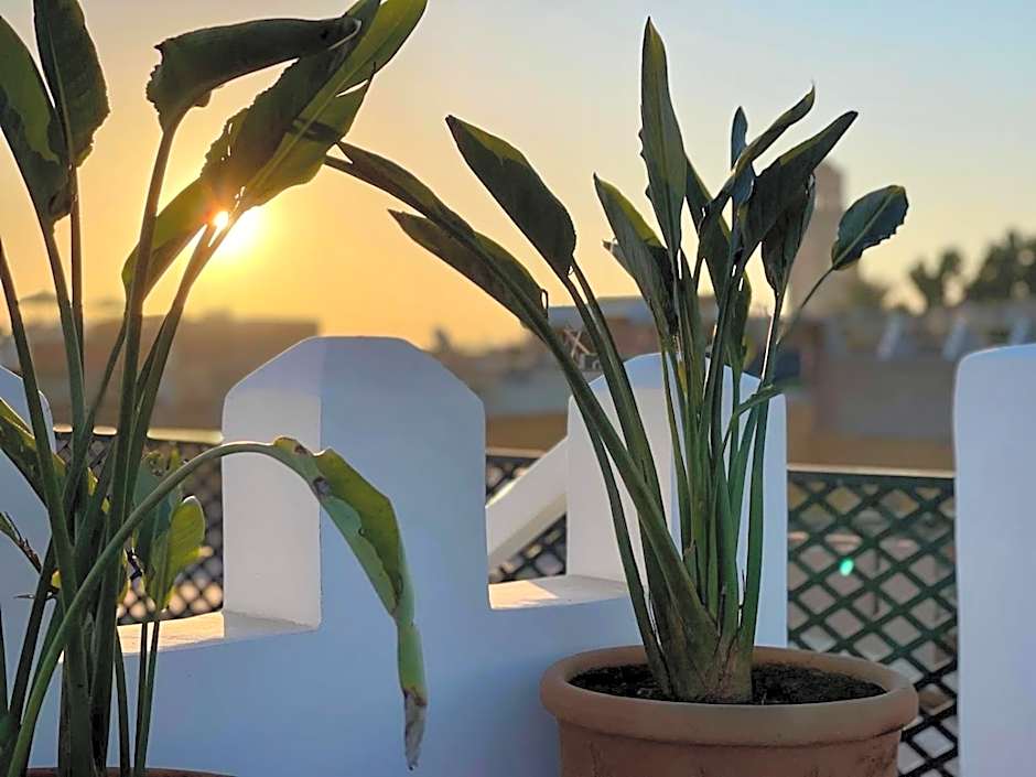 Riad Chafia & Spa
