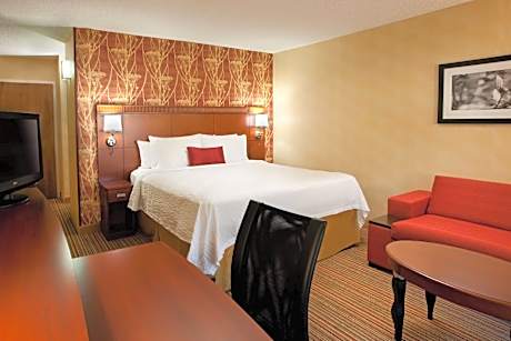 King Room with Sofa Bed