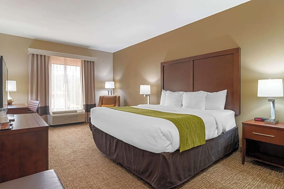 Comfort Inn & Suites Griffin
