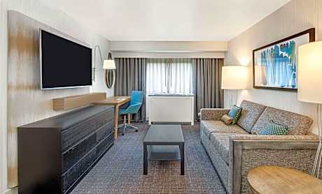 One-Bedroom King - Mobility Accessible/Roll-In Shower