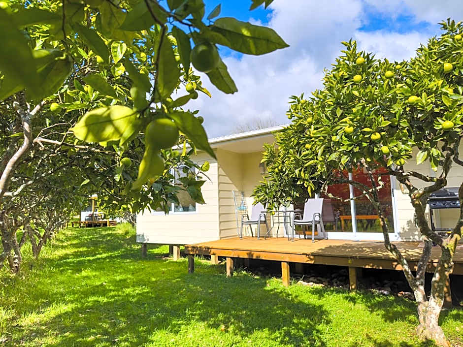 Relax a Lodge