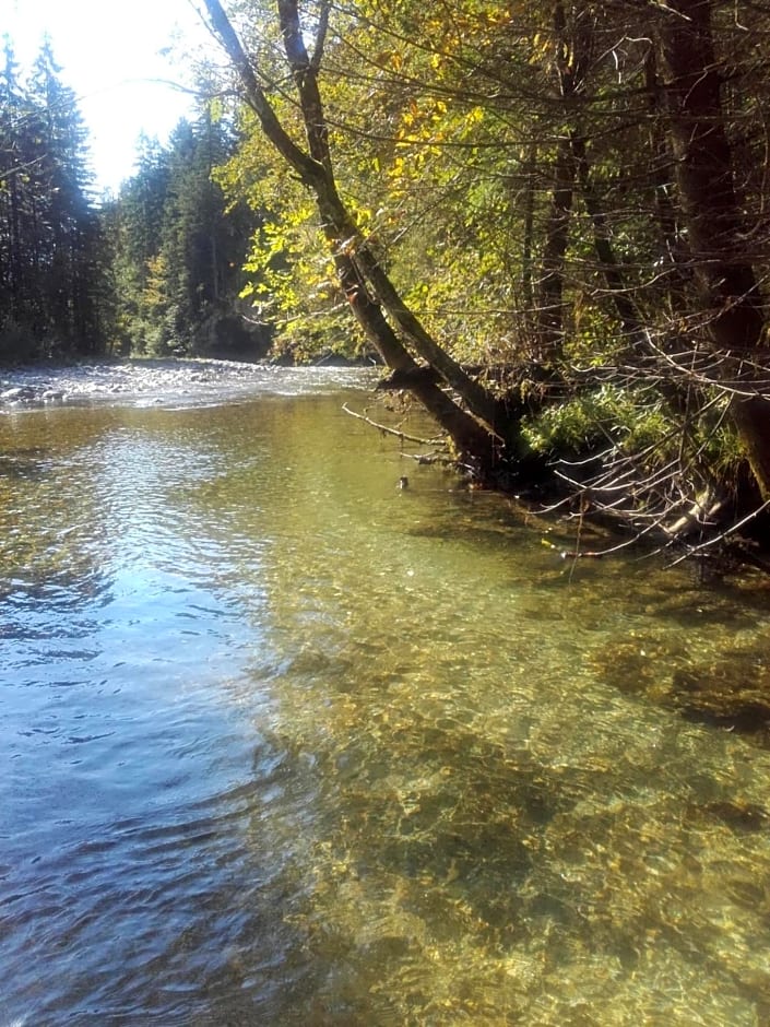 Freinerhof & Wellness