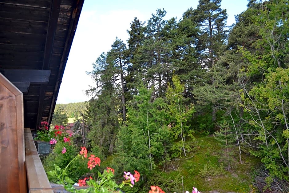 Gasthof zum Grünen Baum