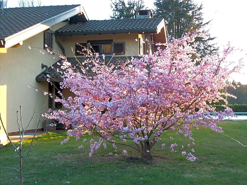 B&B Il Ciliegio – Galliate Lombardo, MD