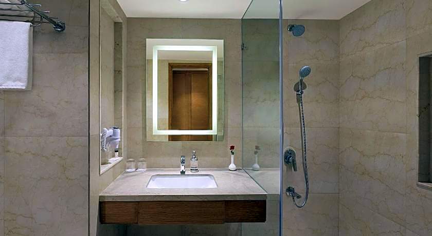 Nataraj Sarovar Portico