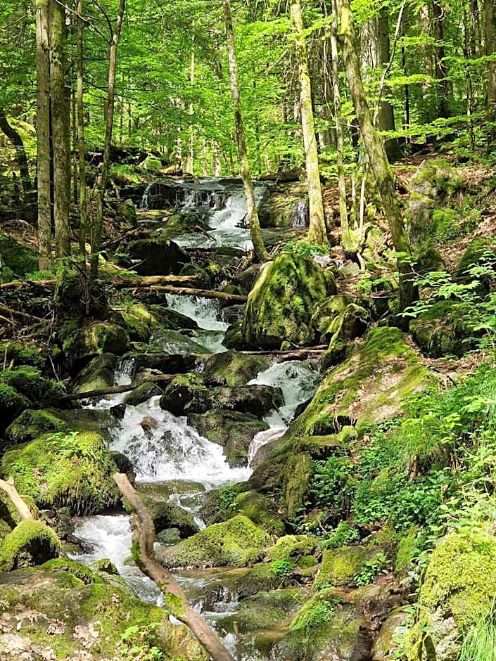 Ferien vom Ich, Bayerischer Wald, Hotel & Restaurant