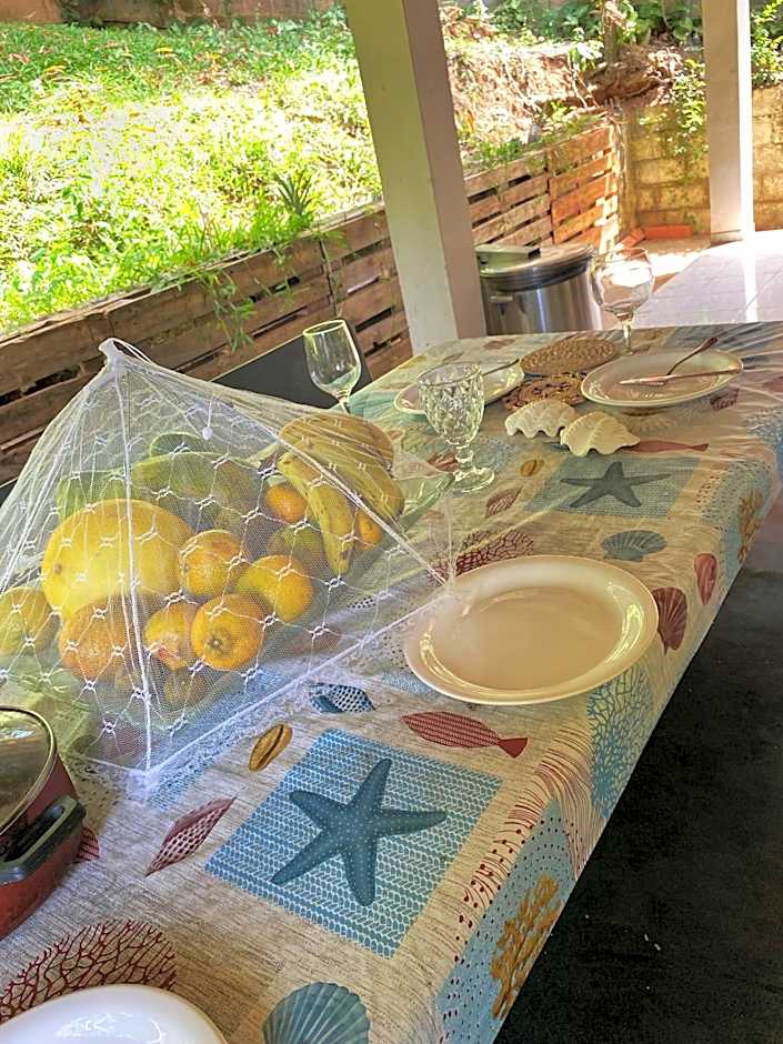 Green House Chalé, hostel e pousada