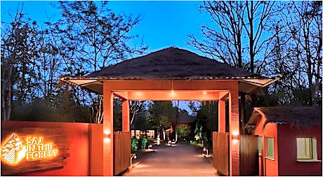 Saj In The Forest, Pench