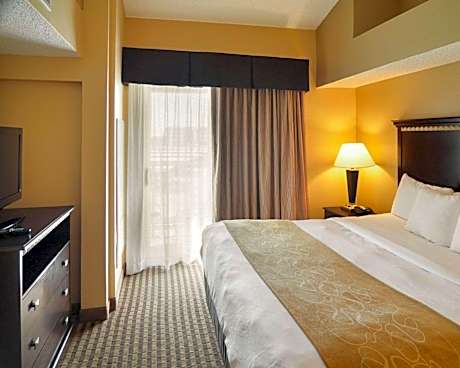 1 King Bed, Suite, Nonsmoking