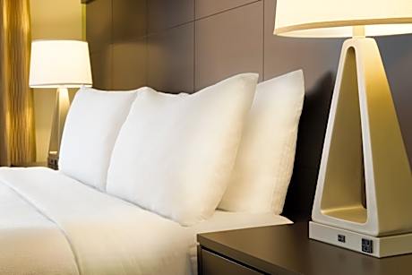 1 King Bed Studio Suite Sofa Bed