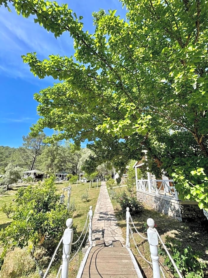 Olympos Angels Garden