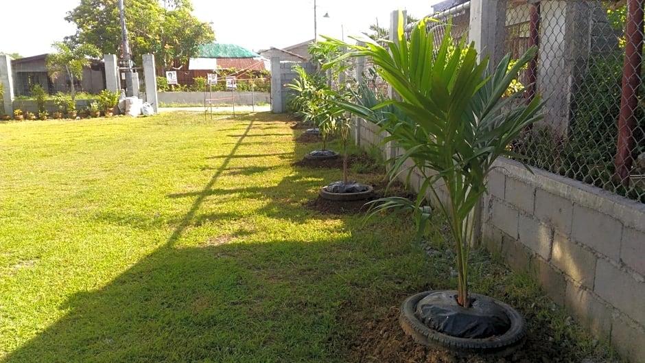 Vievan's transient house