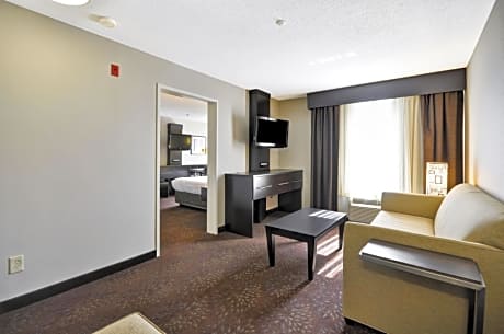 One-Bedroom King Suite with Sofa Bed