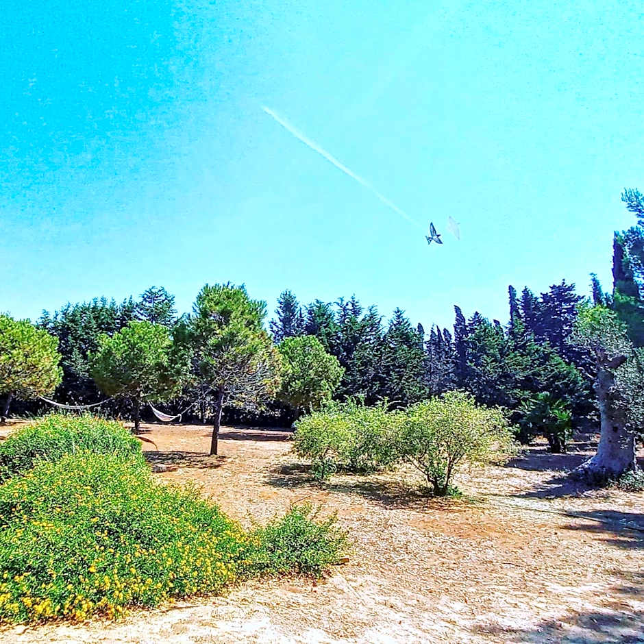 Masseria Fracchicchi