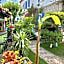 Alacati Kayezta Hotel