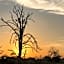 Barn Owl Lodge, Mjejane Game Reserve, Greater Kruger Park