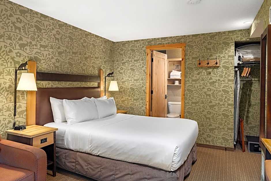Fox Hotel And Suites