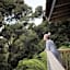 Tui & Nikau Cabins