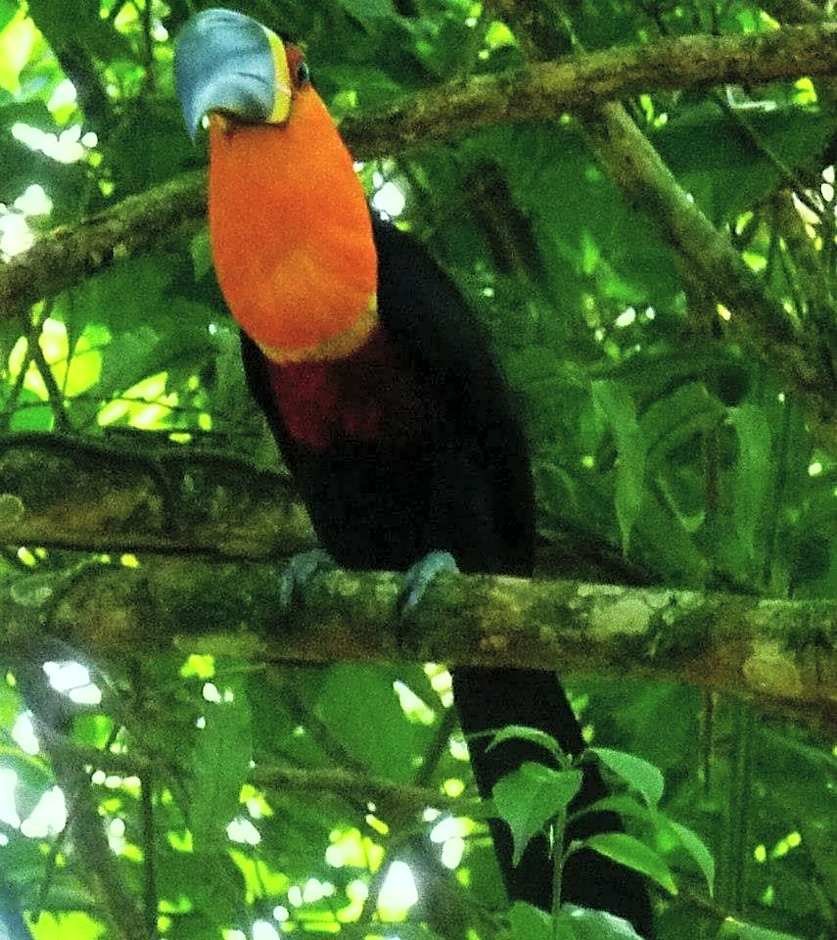 Aconchego 3 dorms, piscina, churrasq em Condomínio Fechado