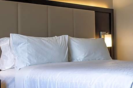 1 King Suite With Sofa Bed