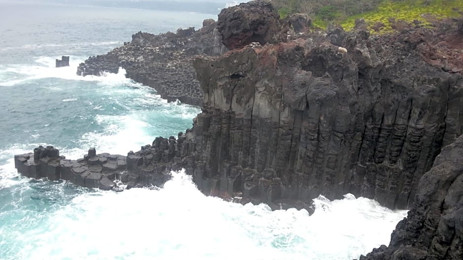 Dreaming Forest Pension