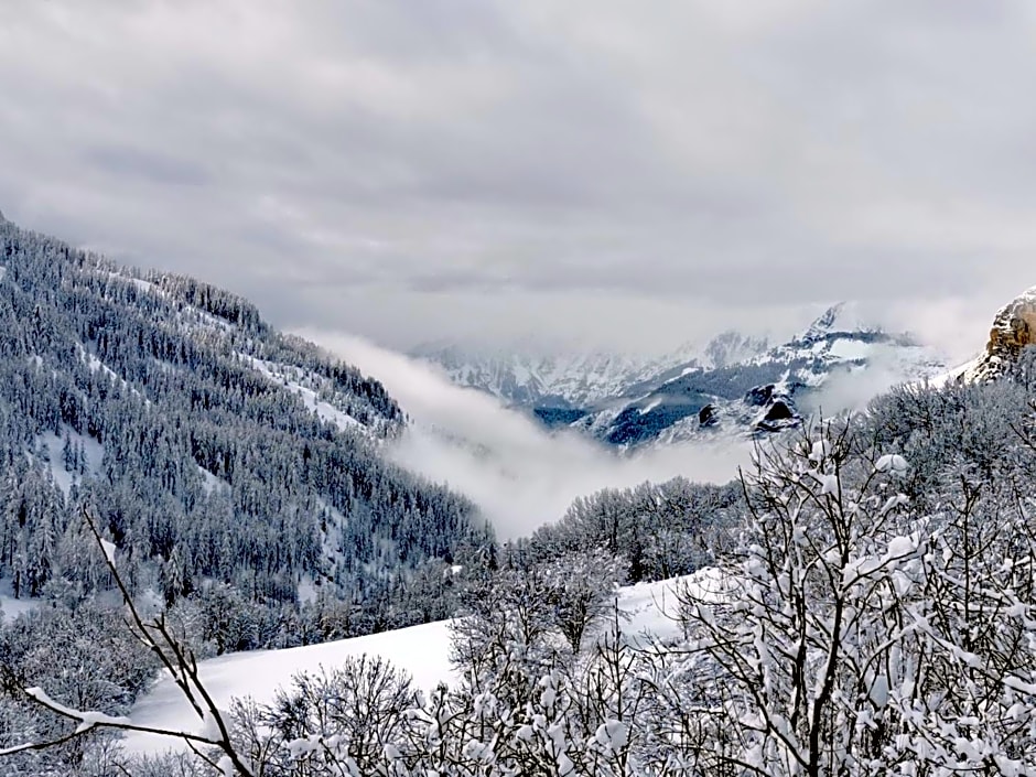 Les marmottes d Estenc