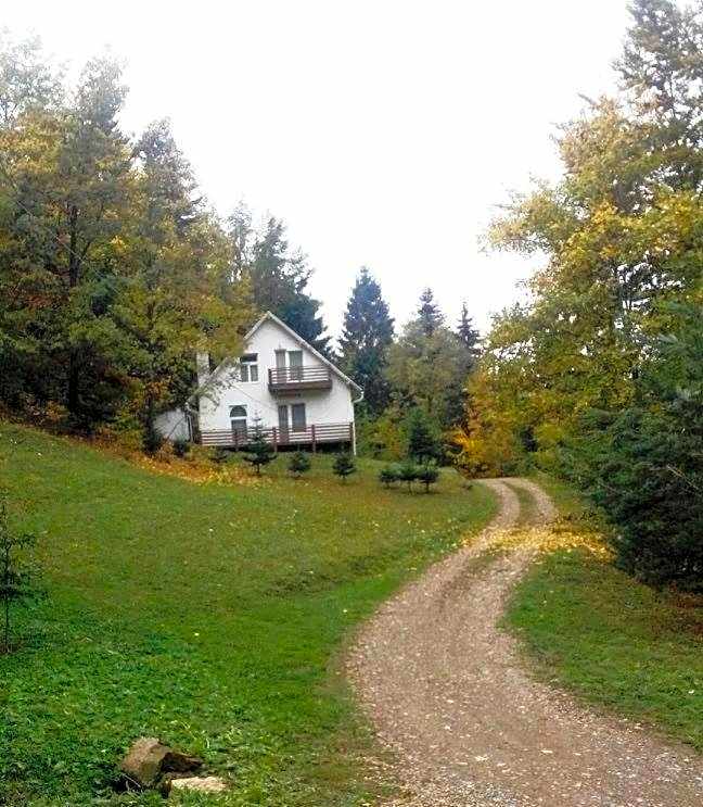 Șoaptele pădurii & Căsuța din pădure