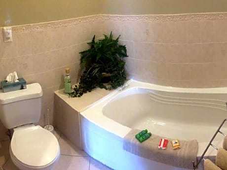 King Bed-Suite-Honeymoon-Ensuite with Bath-River view