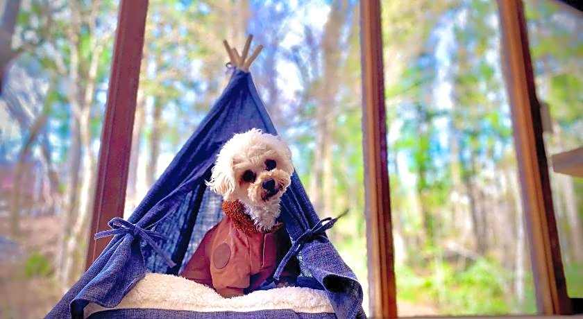 Kizuna Lodge & BBQ Centre