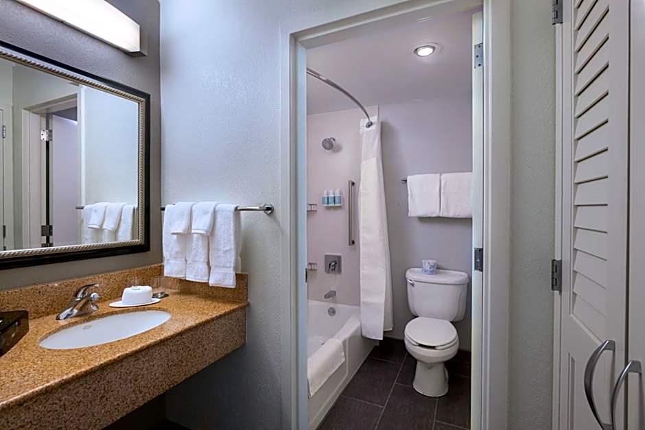 Courtyard by Marriott Dallas Arlington/Entertainment District