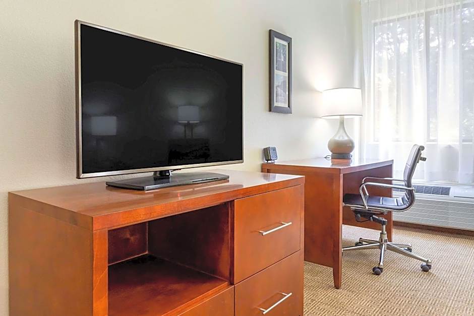 Comfort Inn & Suites Lenoir Hwy 321 Northern Foothills