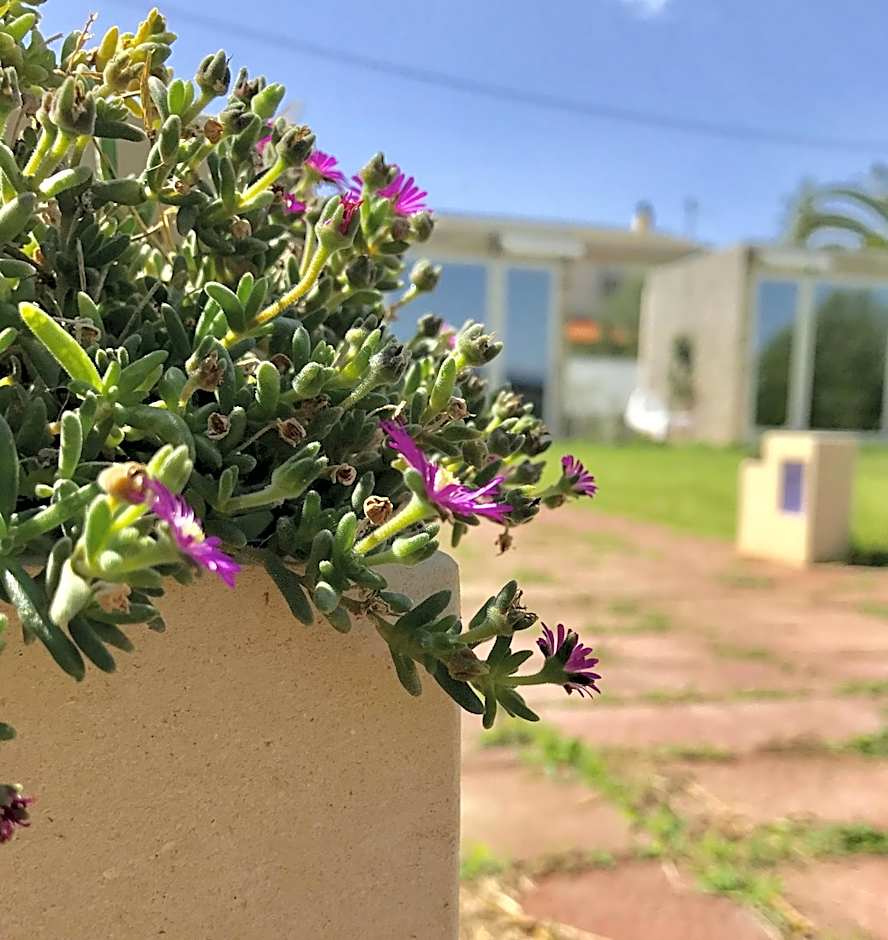 B&B Villa degli Angeli