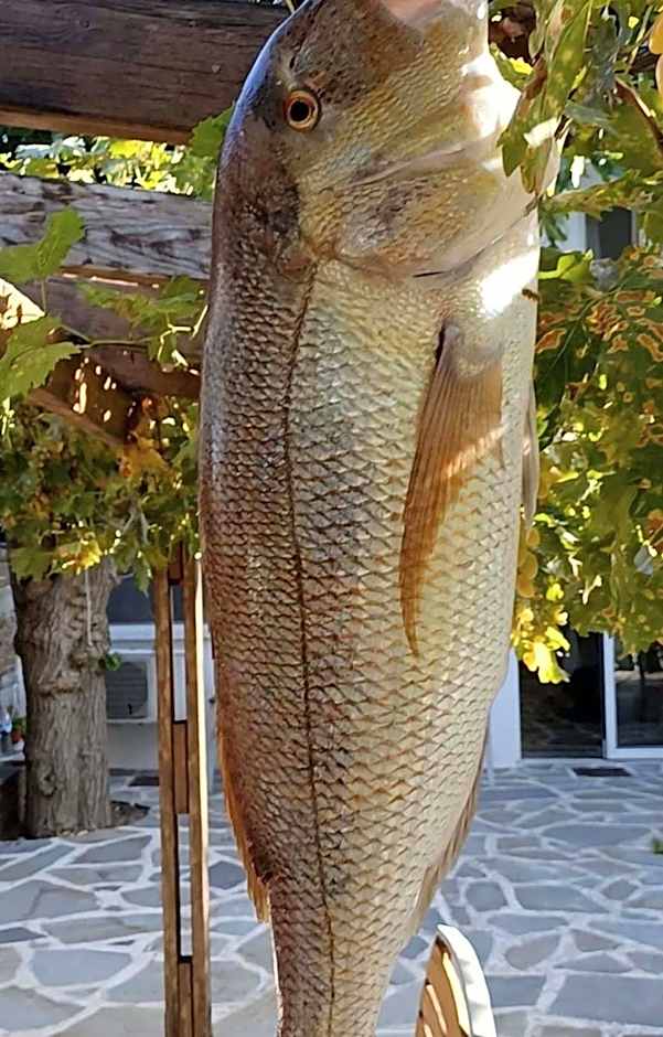 Gikas Apartments Triple Studio Sea View B7