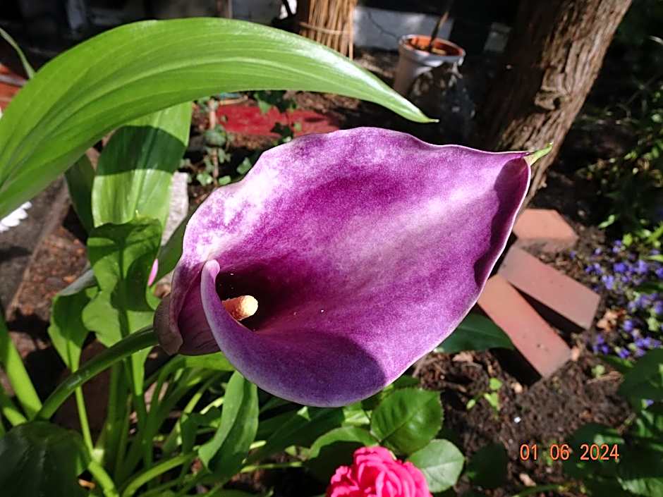 Hotel zum alten Torfkahn