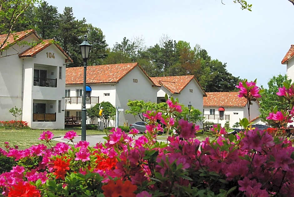 Meta Pension, DamYang