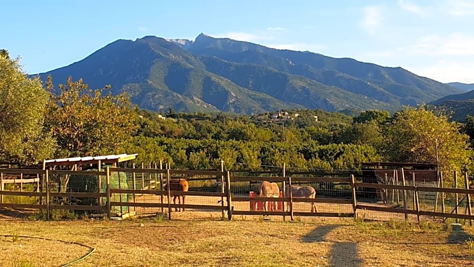 Chambre d'hôtes le petit Ranch